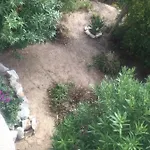 Casa בית נופש